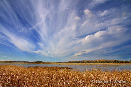 McLaren Marsh_23005.jpg - Photographed at the Ken Reid Conservation Area near Lindsay, Ontario Canada.